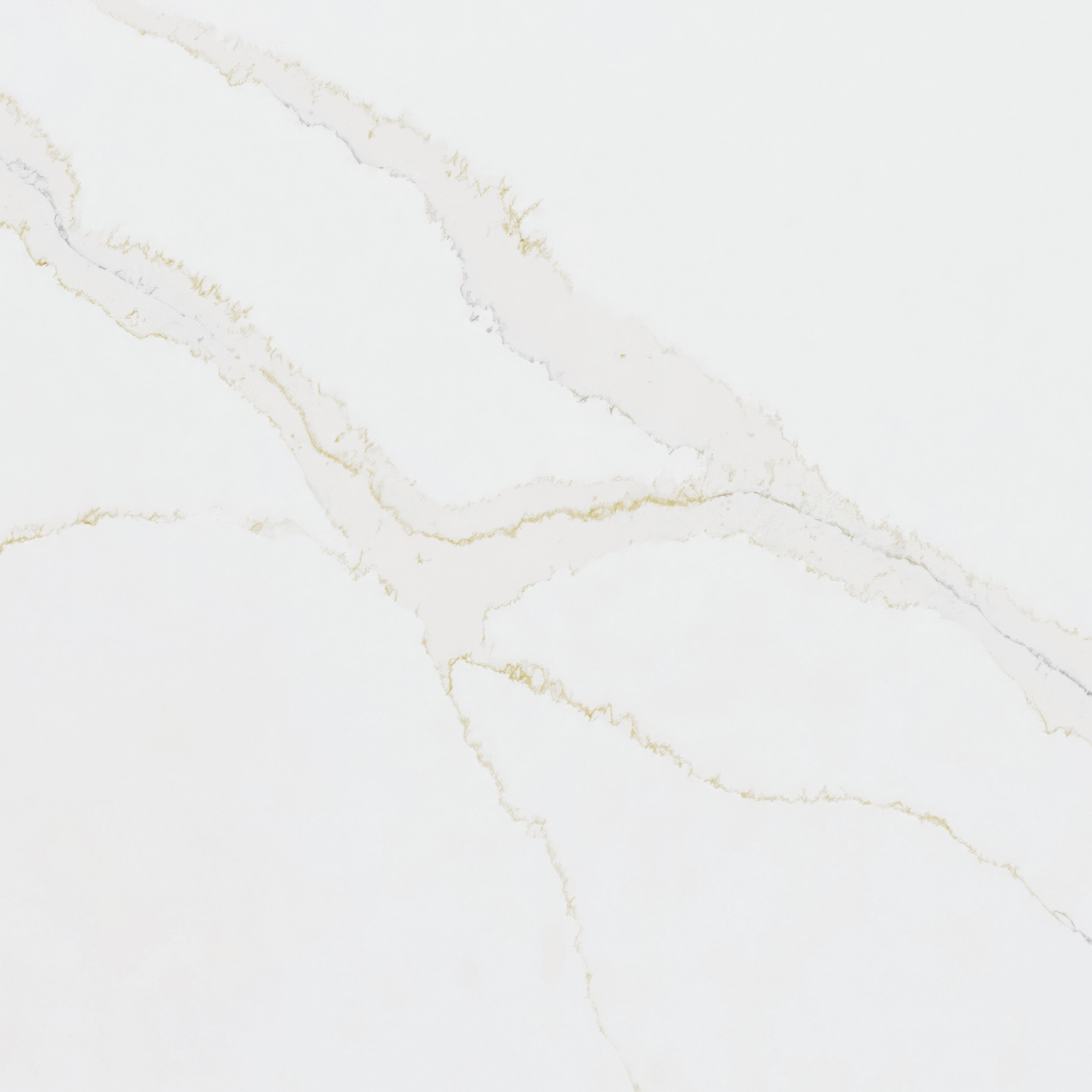 Calacatta Medallion | NEW!