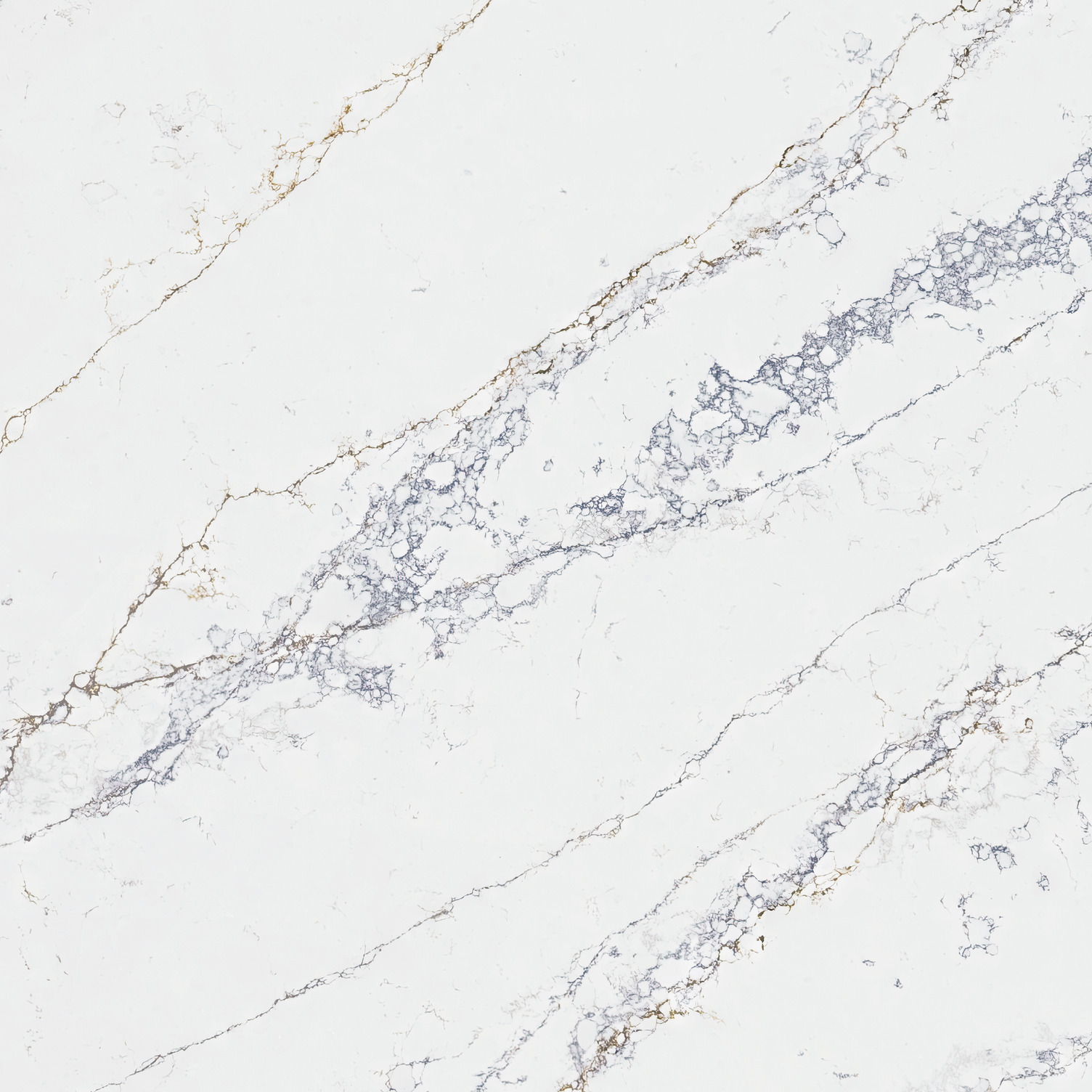 Estate Quartzite | NEW!